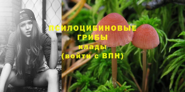 хмурый Алексеевка